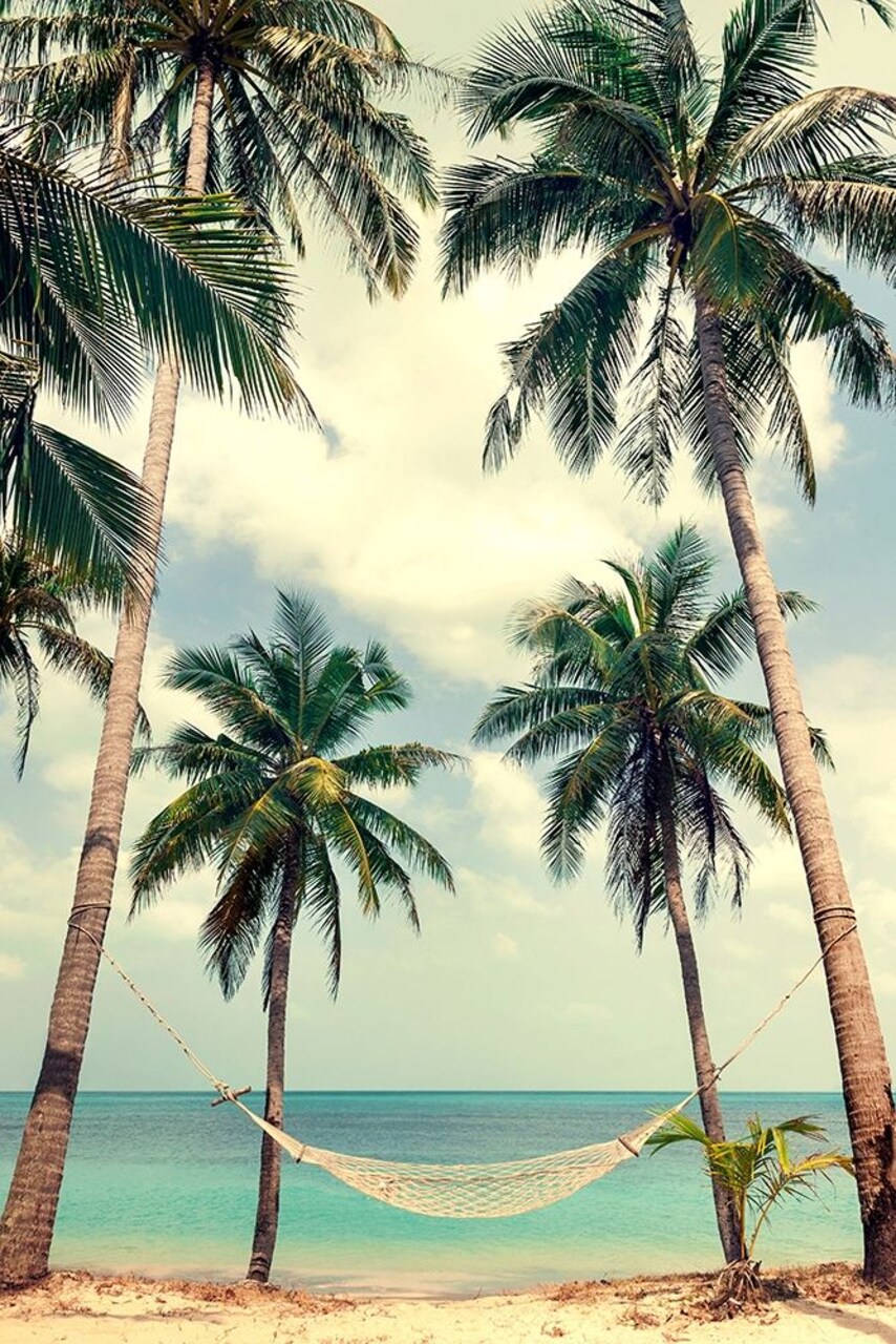 Palm Sky 3 Poster Print by Design Fabrikken Design Fabrikken - Item # VARPDXMF9690953